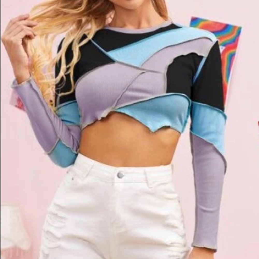 Shein Stitched Colorblock Crop Top